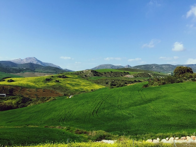 Vista panoramica di un campo erboso contro il cielo