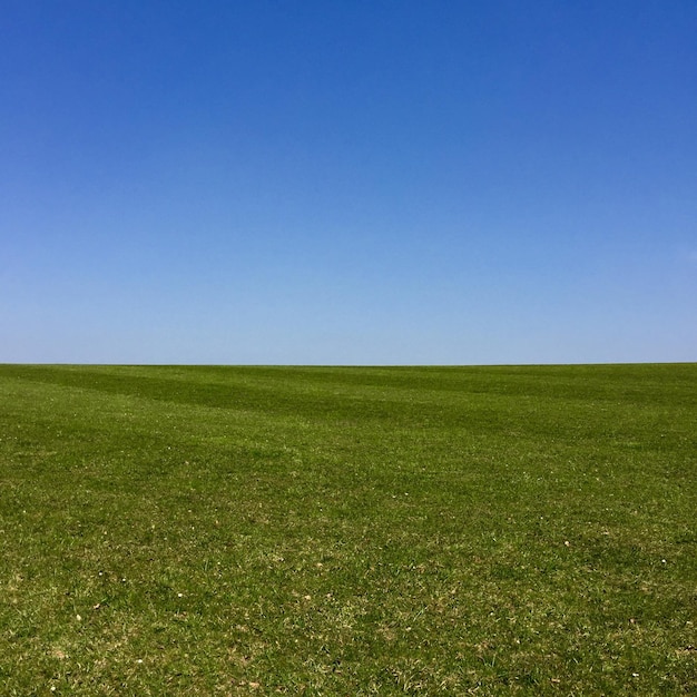 Vista panoramica di un campo erboso contro un cielo blu limpido