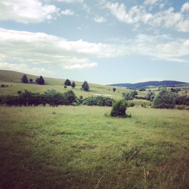 Vista panoramica di un campo erboso contro un cielo nuvoloso