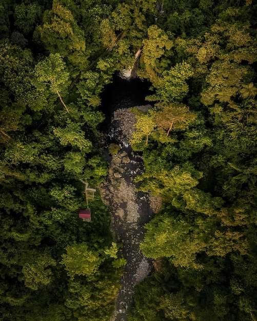 Vista panoramica di una cascata nel mezzo di una foresta pluviale tropicale con foto aeree di North Bengkulu Indonesia