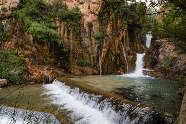 Vista panoramica di una cascata nella foresta