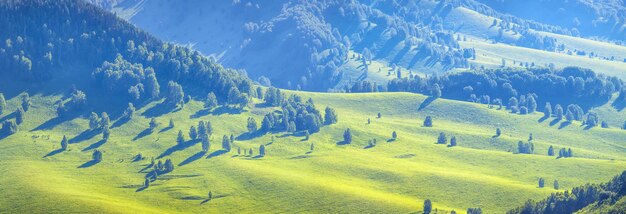 Vista panoramica di una pittoresca vallata di sera verdi colline e prati