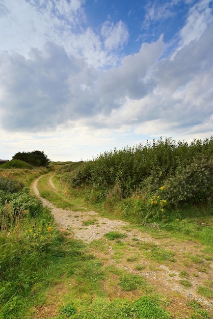 Vista panoramica di una strada sterrata in una campagna che conduce a prati e campi verdi lussureggianti in Germania Viaggia in una remota terra o area serena Scenario tranquillo con alberi, cespugli, arbusti, prato ed erba