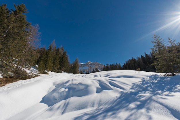 Vista panoramica enorme delle Dolomiti nel tempo della neve invernale