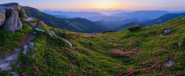 Vista panoramica estiva mattutina dei Carpazi