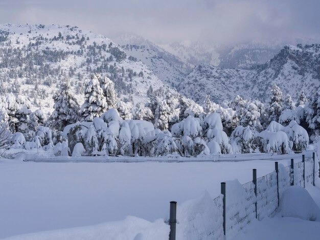 Vista panoramica inverno con molta neve e cumuli di neve in un villaggio greco sull'isola di Evia Grecia