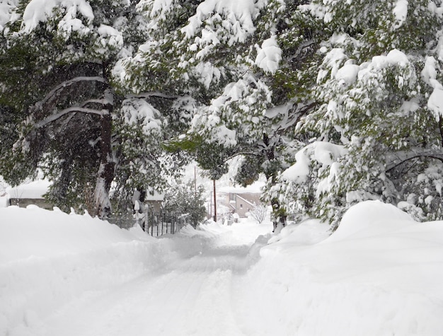 Vista panoramica inverno con molta neve e cumuli di neve in un villaggio greco sull'isola di Evia Grecia