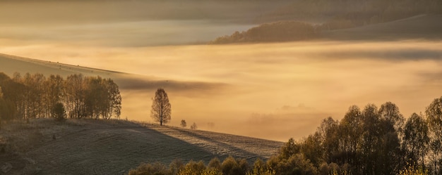 Vista panoramica mattutina autunnale La luce dell'alba illumina la valle nebbiosa