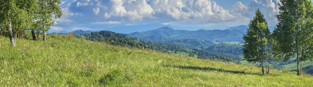 Vista panoramica, paesaggio di montagna. I verdi del prato estivo.