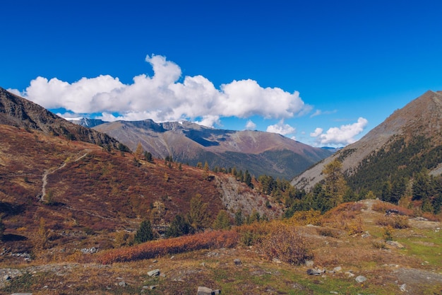 Vista panoramica pittoresca della valle di montagna Meravigliosi colori autunnali dorati catena montuosa Altai montagne