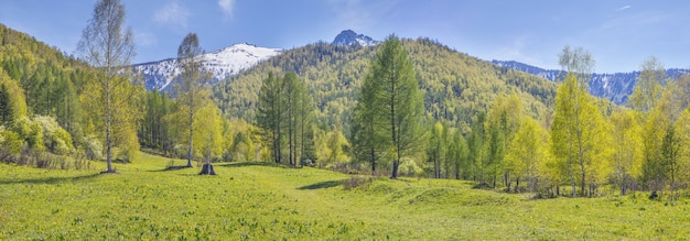 Vista panoramica primaverile delle montagne alla luce del giorno