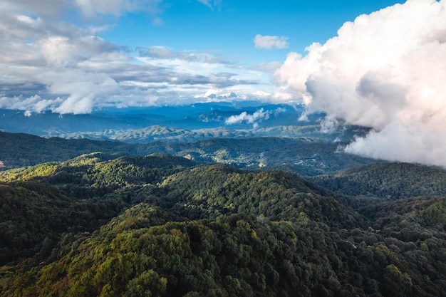 Vista panoramica su alta collina verde