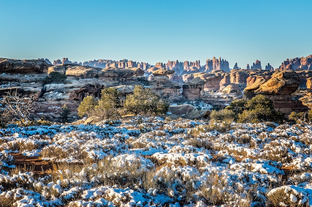 Vista panoramica sul distretto di Needles nel Parco Nazionale di Canyonlands, Utah