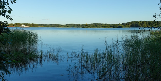 Vista panoramica sul fiume e sul bosco sulle rive