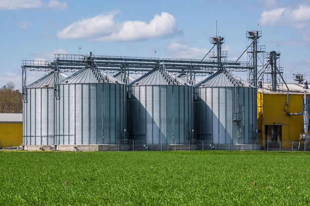 Vista panoramica sull'elevatore del granaio agro silos sull'impianto di produzione di agroprocessing per la lavorazione, asciugatura, pulizia e stoccaggio di prodotti agricoli farina cereali e grano