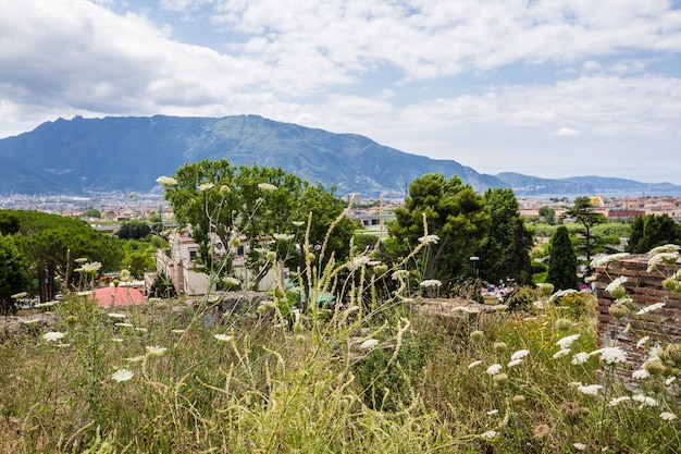 Vista panoramica sulla montagna dall'antica città di pompei napoli italia