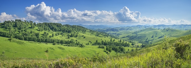 Vista panoramica sulle montagne con prati verdi e boschi