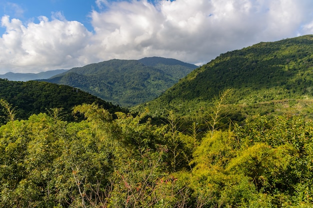 Vista panoramica sulle montagne, sulla foresta tropicale, sul parco Yanoda e sulla città di Sanya. Zona di turismo culturale della foresta pluviale Yanoda, isola di Hainan, Yalong Bay Tropical Paradise Forest Park. Cina.