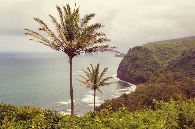 Vista pittoresca dell'isola di Hawaii