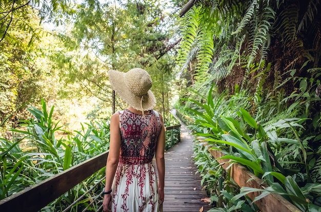 Vista posteriore del viaggio donna asiatica a piedi al vicolo nella foresta