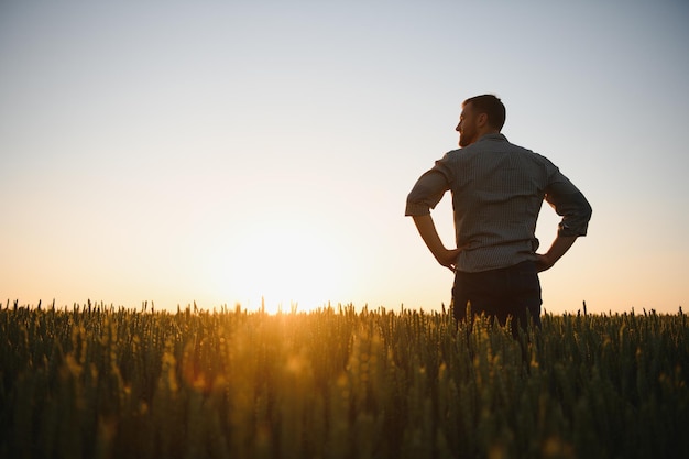 Vista posteriore dell'uomo adulto agricoltore in piedi da solo e guardare il tramonto o l'alba nel cielo Ragazzo in piedi sul campo di grano Tempo maturo del raccolto Il sole splende nel cielo