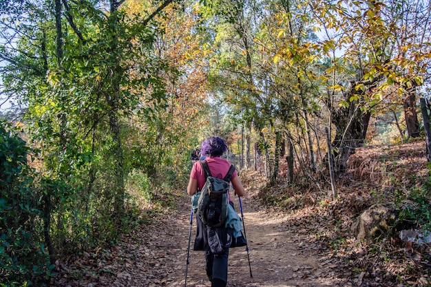 Vista posteriore della donna anziana che cammina nella foresta. Donna Che Fa Un Percorso Su Un Sentiero. Attività all'aperto.