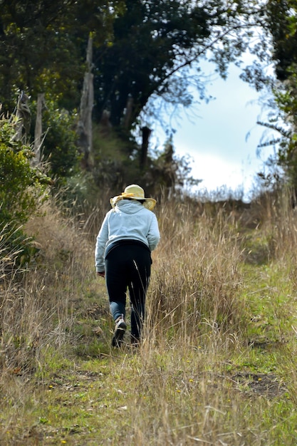 vista posteriore della donna paffuta che corre in salita e indossa il cappello