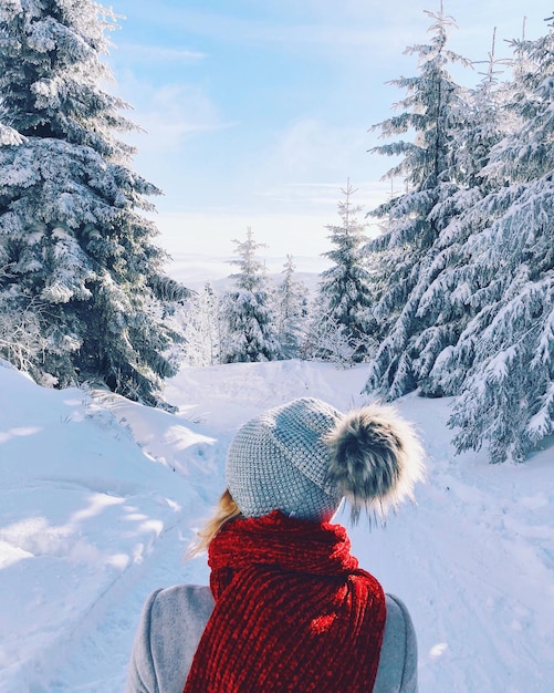 Vista posteriore della persona su un albero innevato