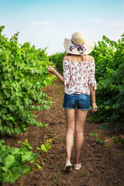 Vista posteriore della ragazza che cammina attraverso la vigna con le braccia tese. Vista posteriore della donna che gode nella sua libertà nella natura.