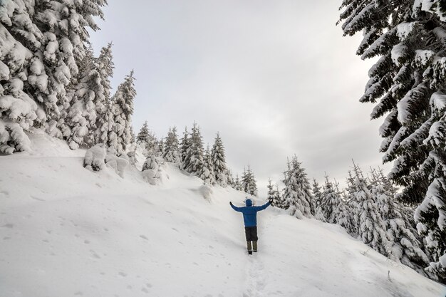 Vista posteriore della viandante turistica che sta con le armi alzate sul pendio di montagna ripido sul fondo dello spazio della copia degli abeti rossi e del chiaro cielo. Turismo e sport invernali concetto di montagna.