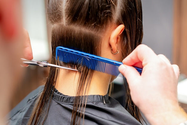 Vista posteriore delle mani del parrucchiere maschio taglia i capelli lunghi della giovane donna nel parrucchiere