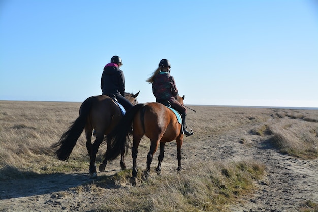 Vista posteriore di amici a cavallo su un paesaggio arido contro un cielo blu limpido