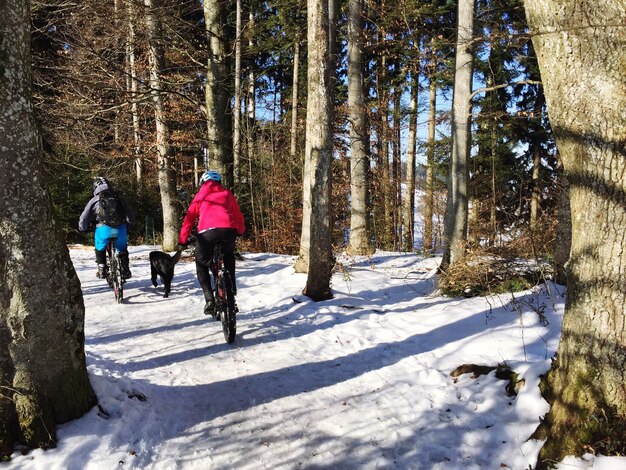 Vista posteriore di donne in bicicletta nella foresta