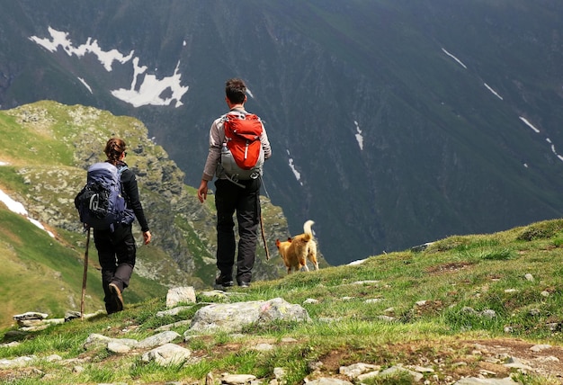 Vista posteriore di escursionisti con il cane in piedi sulla montagna