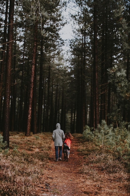 Vista posteriore di persone che camminano nella foresta