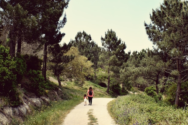 Vista posteriore di persone che camminano per strada tra gli alberi contro il cielo