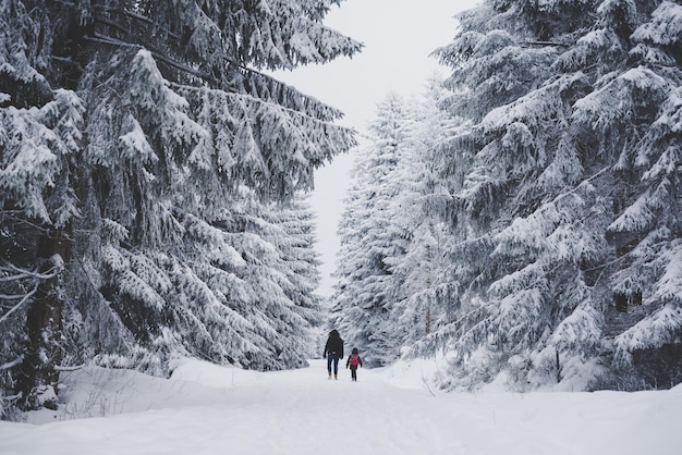 Vista posteriore di persone su un paesaggio coperto di neve