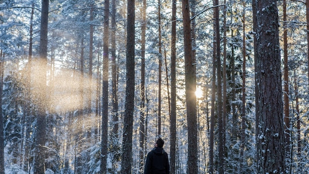 Vista posteriore di un uomo adulto in piedi nella foresta durante l'inverno