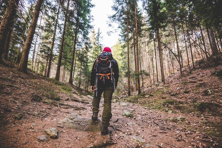 Foto vista posteriore di un uomo che cammina nella foresta