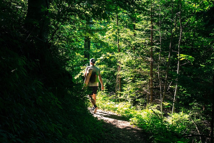 Foto vista posteriore di un uomo che cammina nella foresta