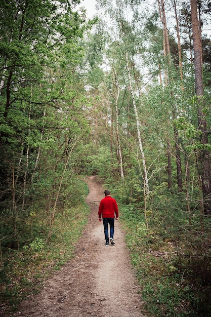 Vista posteriore di un uomo che cammina su un sentiero nella foresta