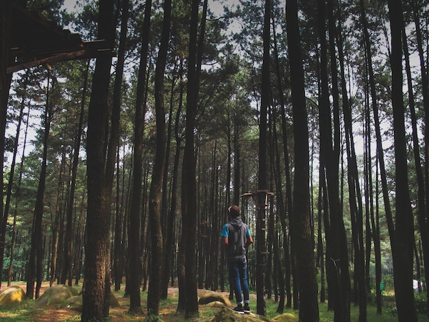 Vista posteriore di un uomo in piedi nella foresta