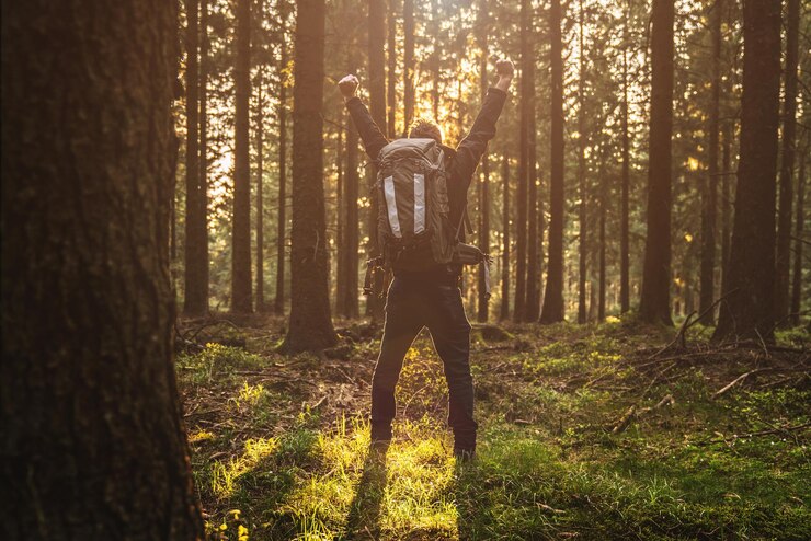 Foto vista posteriore di un uomo nella foresta