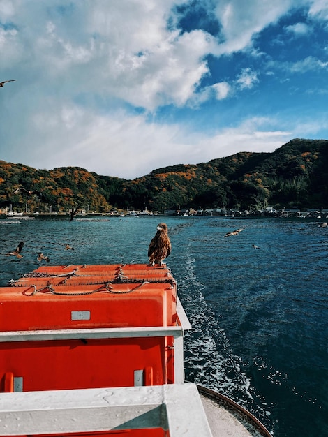 Vista posteriore di una barca in mare contro il cielo