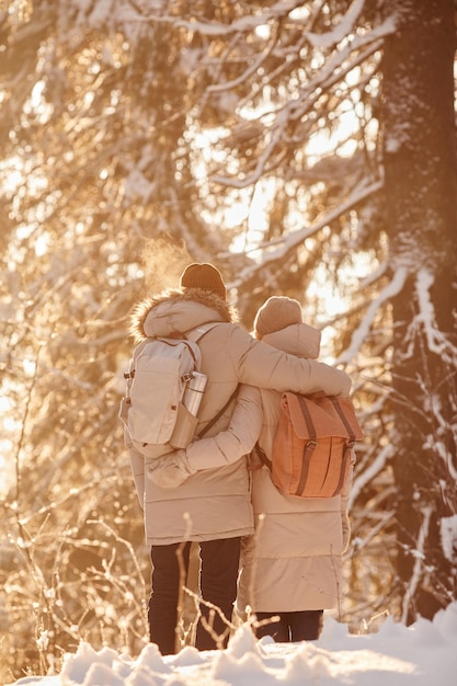 Vista posteriore di una coppia adulta che si gode un'escursione nella foresta invernale e si abbraccia alla luce del sole