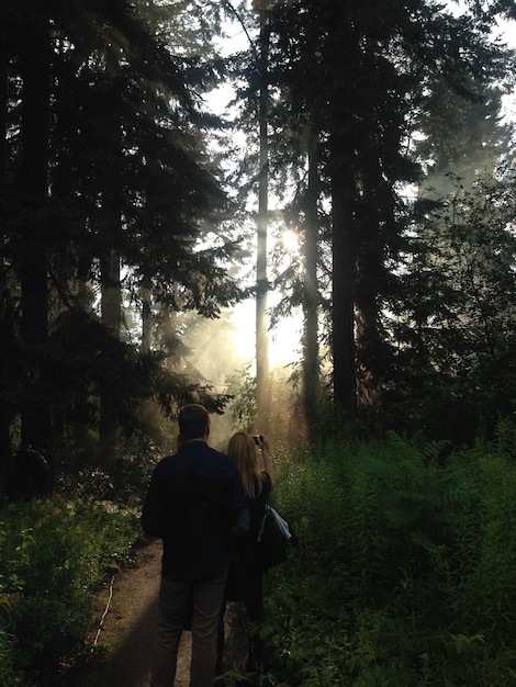 Vista posteriore di una coppia che cammina nella foresta