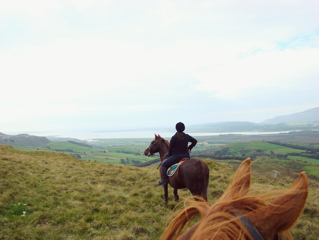 Vista posteriore di una donna a cavallo su un paesaggio erboso contro il cielo