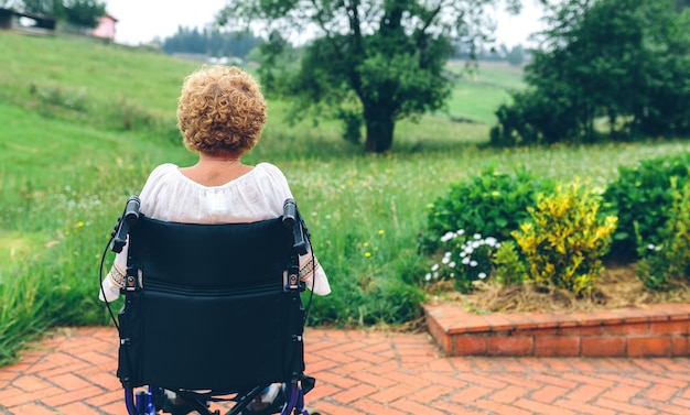 Vista posteriore di una donna anziana seduta in sedia a rotelle in un parco pubblico