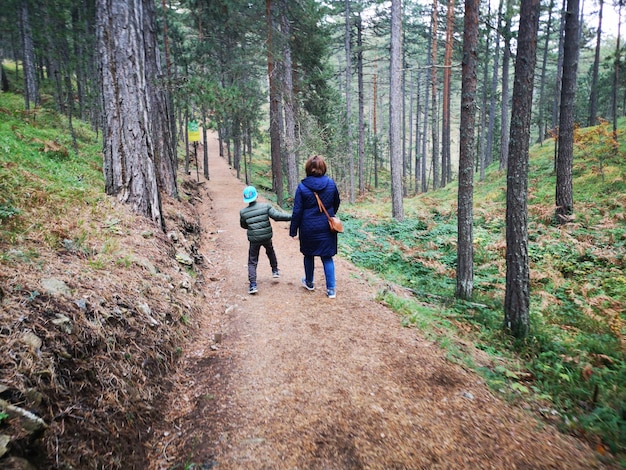 Vista posteriore di una donna che cammina con il figlio sul sentiero nella foresta