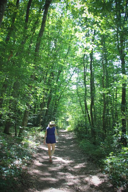 Vista posteriore di una donna che cammina su un sentiero nella foresta